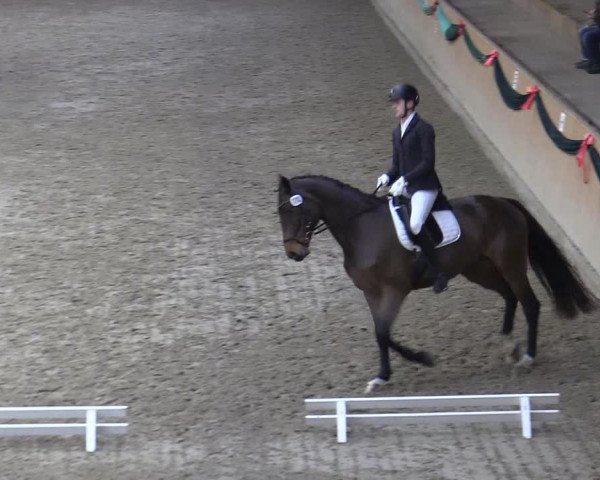 Reitturnier Leck 2022