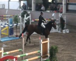jumper Highlander 58 (Oldenburg, 1999, from Heraldik xx)