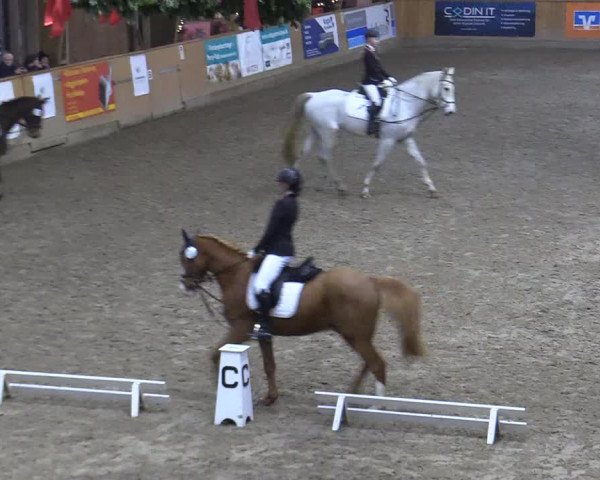 Reitturnier Leck 2022
