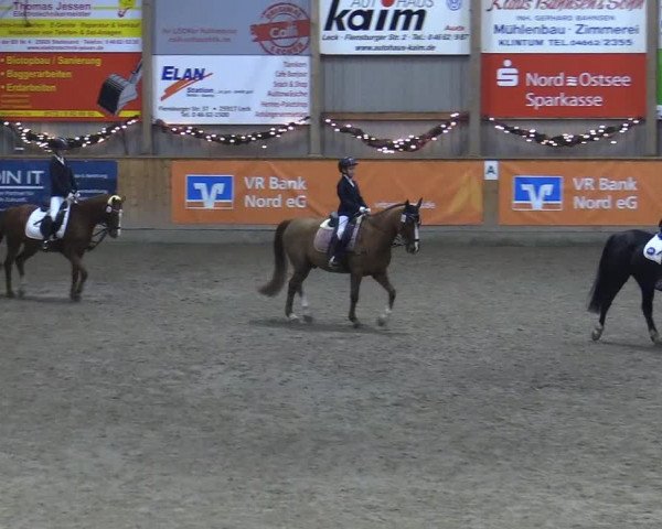 Reitturnier Leck 2022