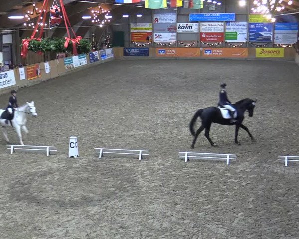 Reitturnier Leck 2022
