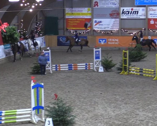 Reitturnier Leck 2022