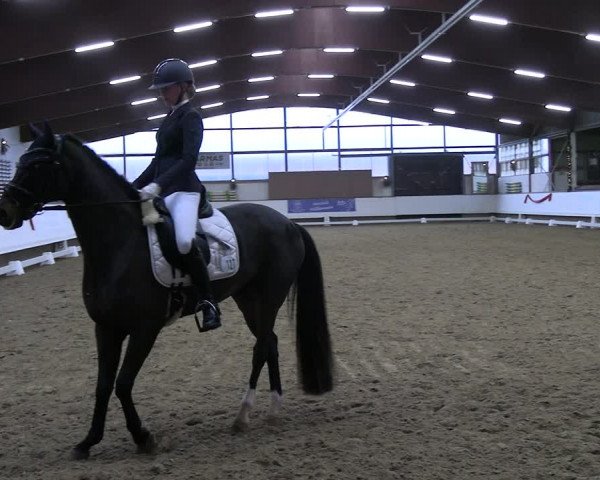 Reitturnier Marl 2022