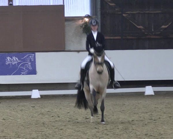 Reitturnier Marl 2022