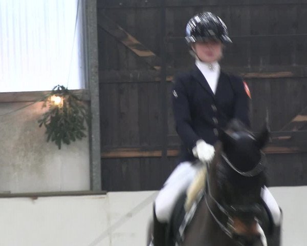 Reitturnier Marl 2022