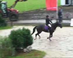 jumper Unser Schwarzer (Westphalian, 2001, from Ulan)