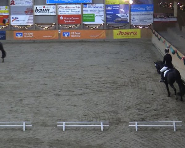 Reitturnier Leck 2022