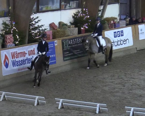 Reitturnier Leck 2022