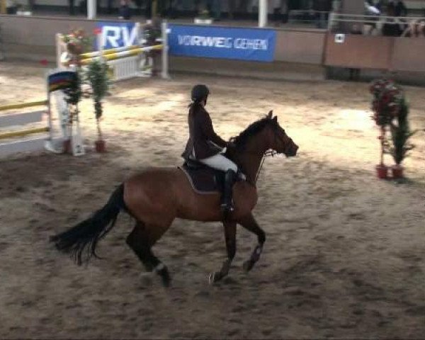 jumper Grasan (Oldenburg, 1999, from Granius)