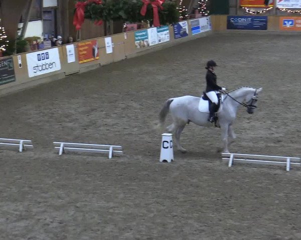 Reitturnier Leck 2022