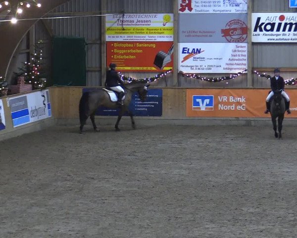 Reitturnier Leck 2022