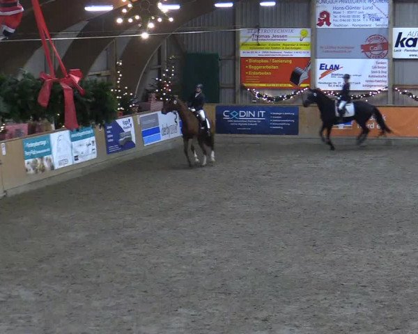 Reitturnier Leck 2022