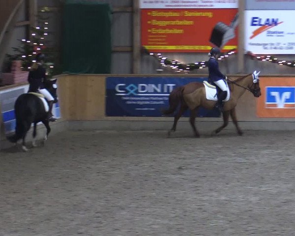 Reitturnier Leck 2022