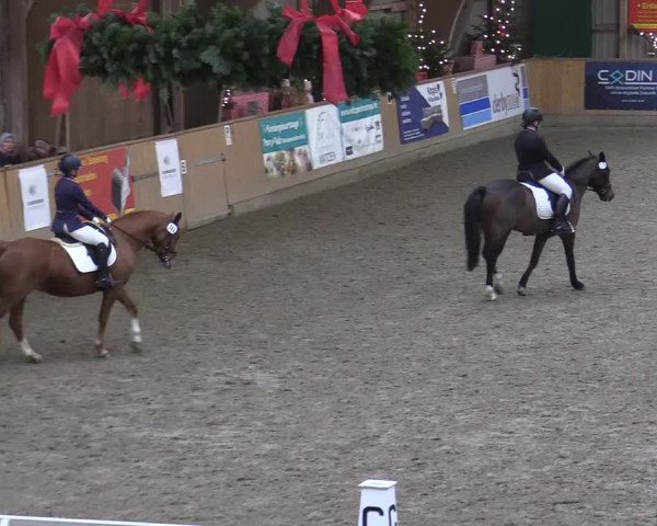 Reitturnier Leck 2022