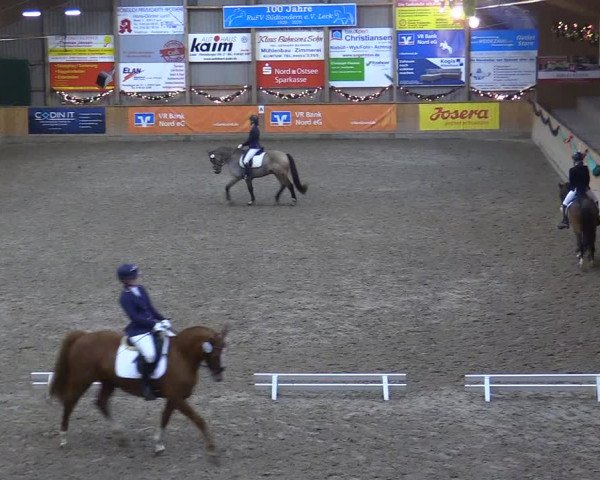 Reitturnier Leck 2022