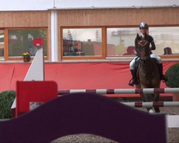 jumper Corronchino (Bavarian, 2004, from Conterno Grande)