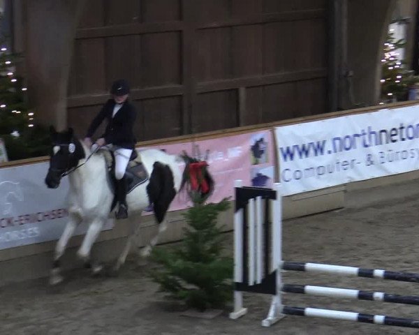 Reitturnier Leck 2022
