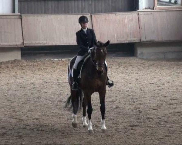 dressage horse Flora 384 (Rhinelander, 2000, from Florestan I)