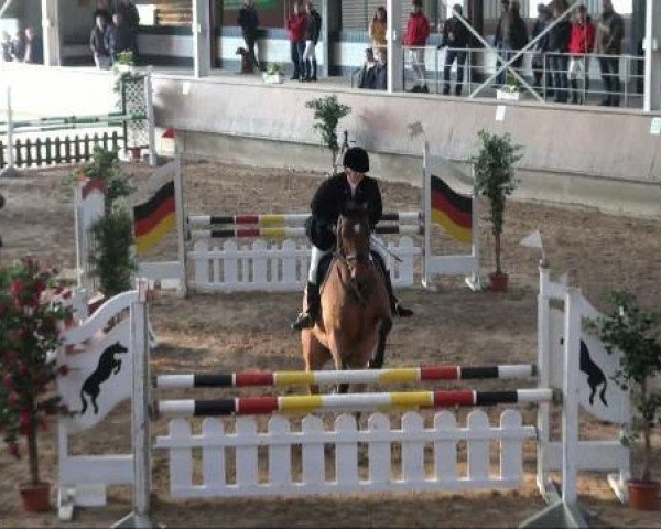 jumper Rikki (Danish Warmblood, 1999, from Lobster)