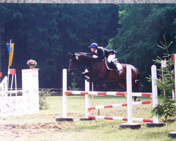 horse Shary Queen (Traber, 1988, from Totem Volita)