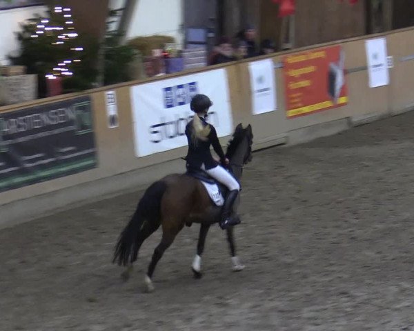 Reitturnier Leck 2022