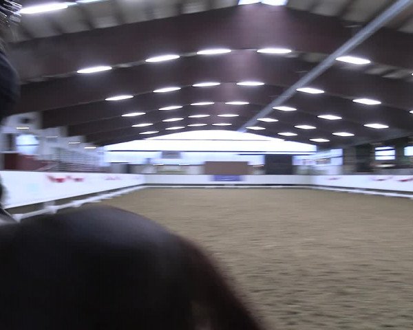 Reitturnier Marl 2022