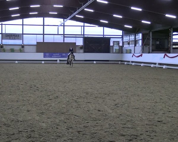 Reitturnier Marl 2022