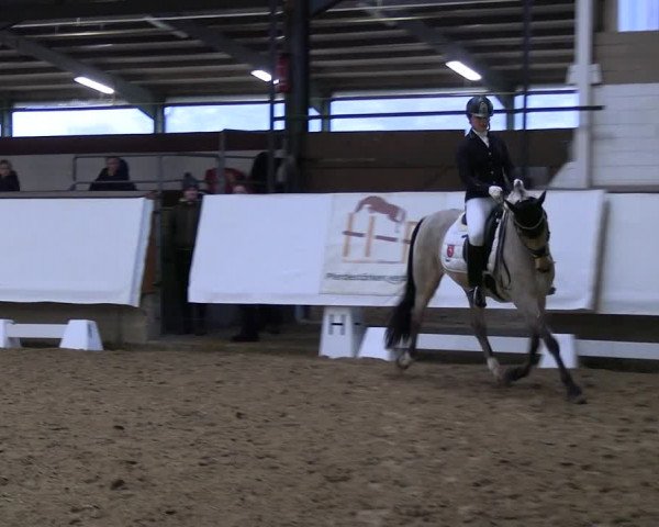 Reitturnier Marl 2022