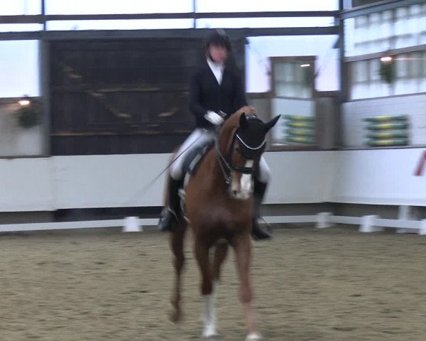 Reitturnier Marl 2022