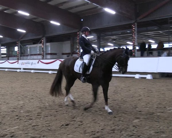 Reitturnier Marl 2022