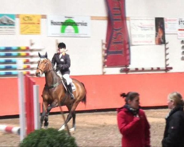 jumper Liberty 317 (Hanoverian, 2002, from Laptop)