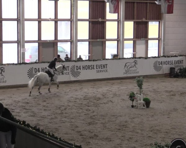 Reitturnier Prussendorf 2022