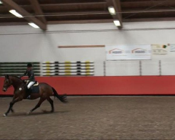 jumper Canneloni (Bavarian, 2002, from Cosinus B)