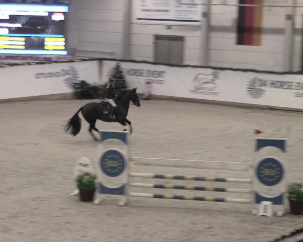 Reitturnier Prussendorf 2022