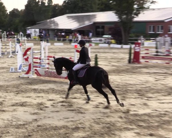 Springturnier Lüdinghausen 2021