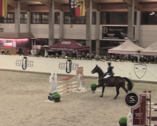 Reitturnier Prussendorf 2022