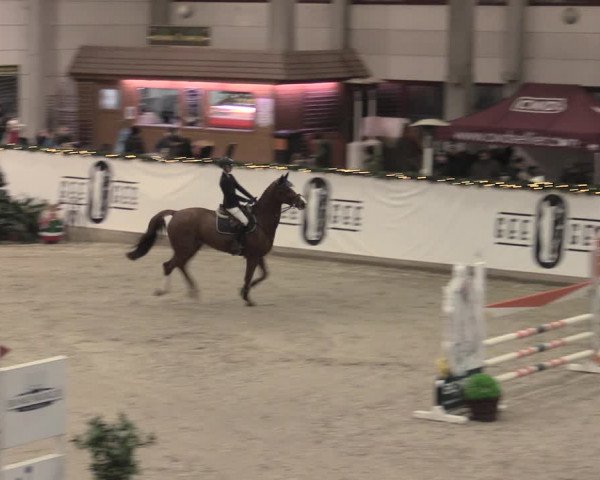 Reitturnier Prussendorf 2022