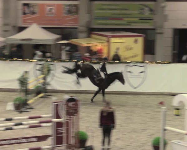 Reitturnier Prussendorf 2022