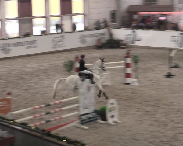 Reitturnier Prussendorf 2022