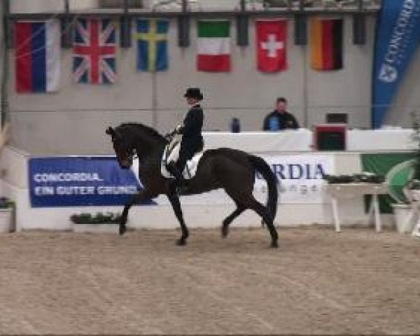 dressage horse Eastman 4 (Hanoverian, 1998, from Espri)