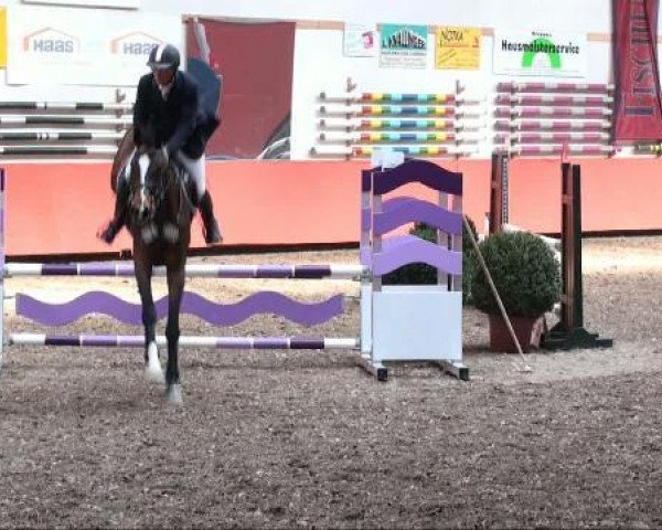 horse Leon 515 (German Sport Horse, 2003, from Landrebell)