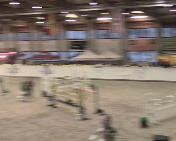 Reitturnier Prussendorf 2022
