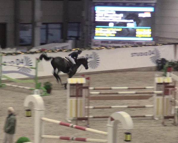 Reitturnier Prussendorf 2022