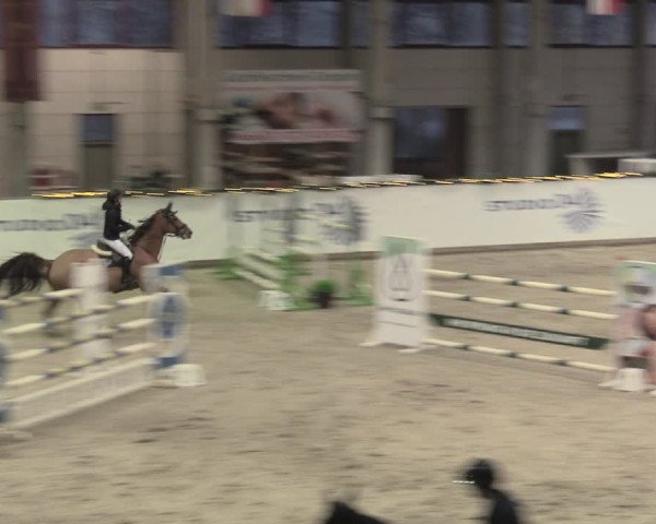Reitturnier Prussendorf 2022