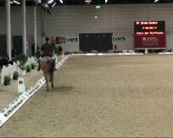 dressage horse Akiro 16 (Bavarian, 2002, from Abanos)