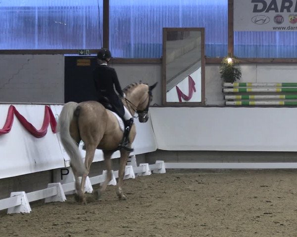 Reitturnier Marl 2022
