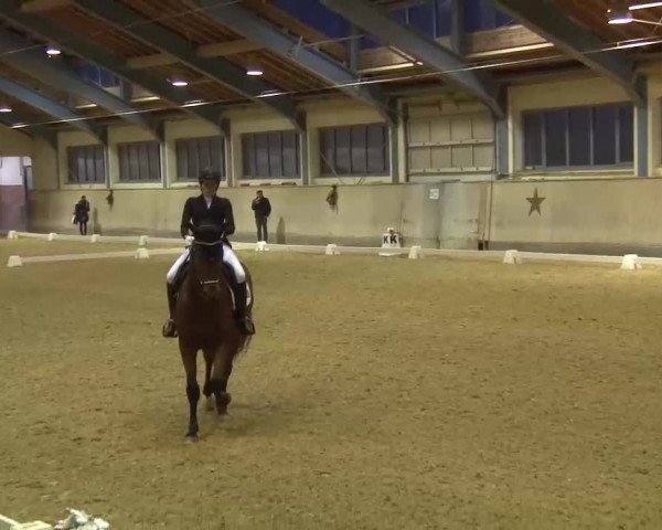 Reitturnier Kreuth/Opf. 2022