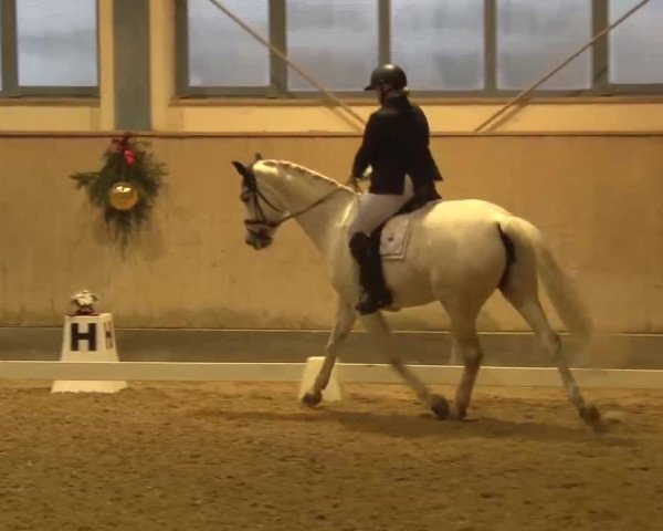 Reitturnier Kreuth/Opf. 2022