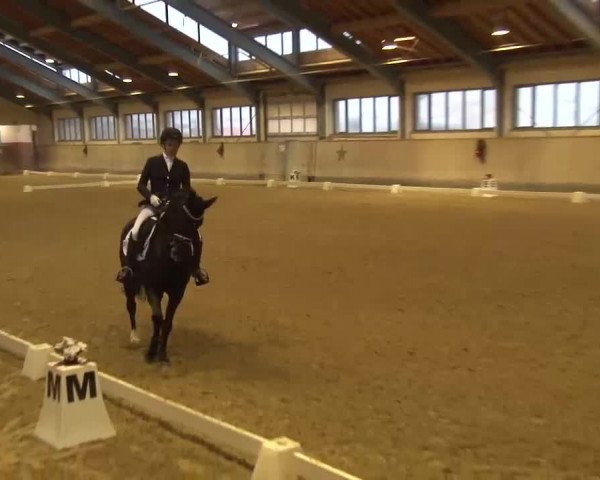 Reitturnier Kreuth/Opf. 2022