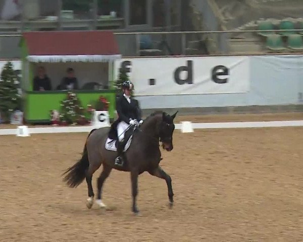 Reitturnier Kreuth/Opf. 2022